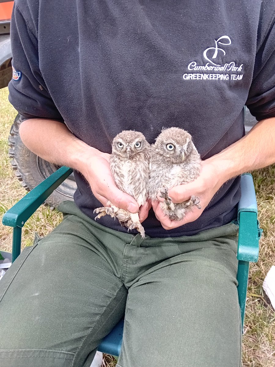 Jon Keepen tweet media