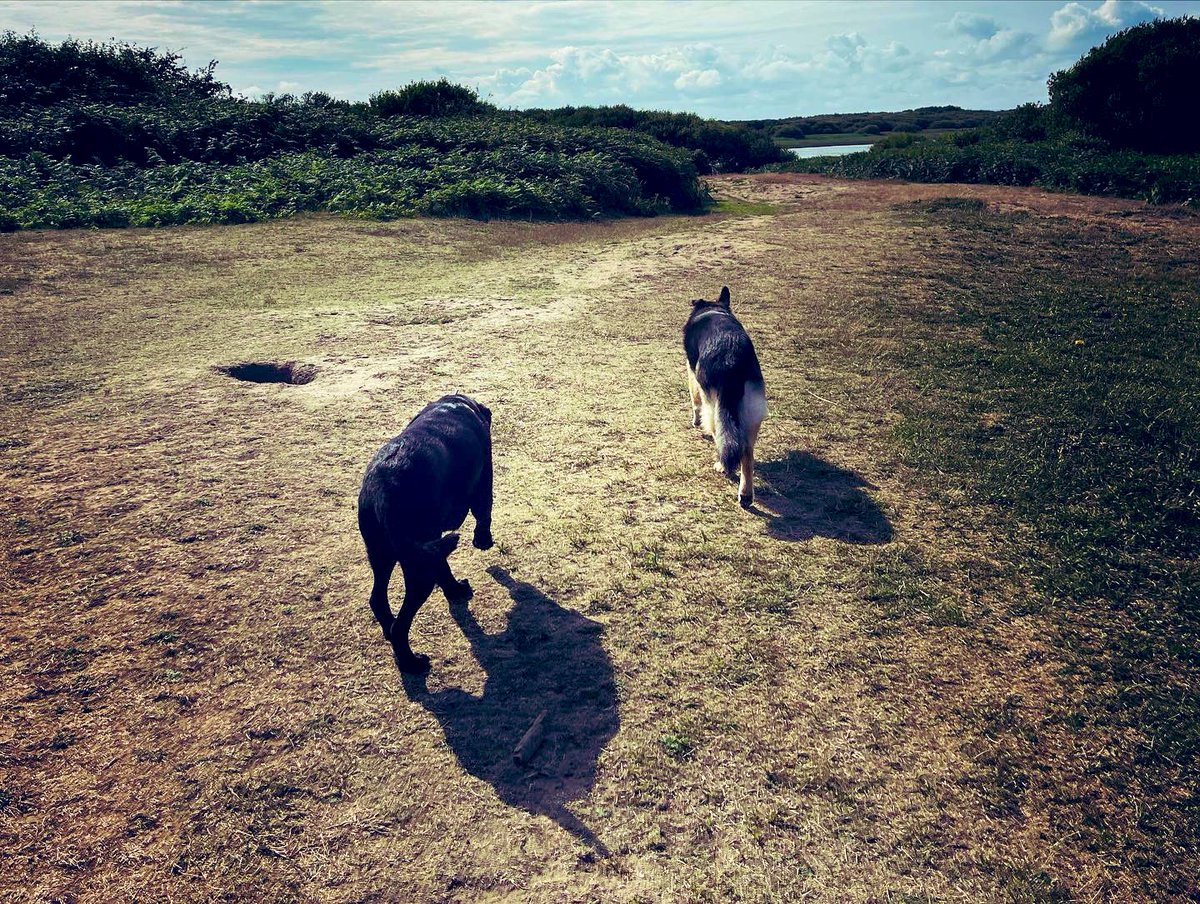 Matt Dando-Thompson tweet media