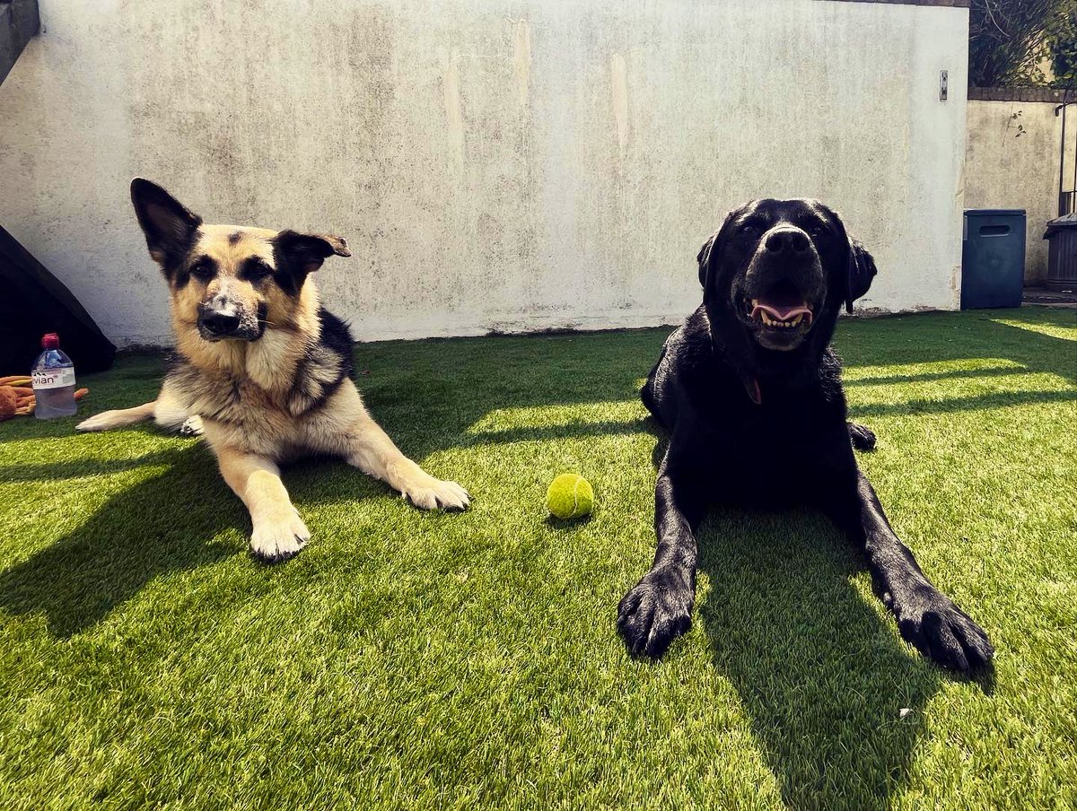 Matt Dando-Thompson tweet media