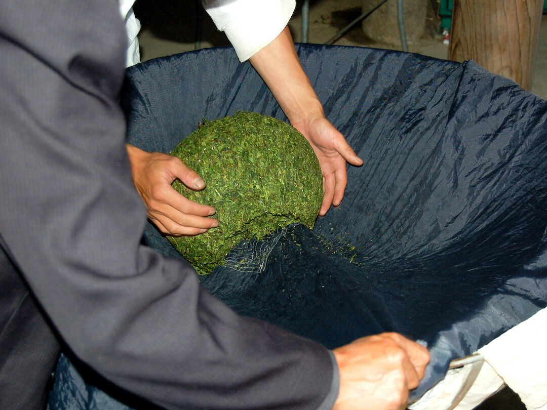 Seven Cups tweet media