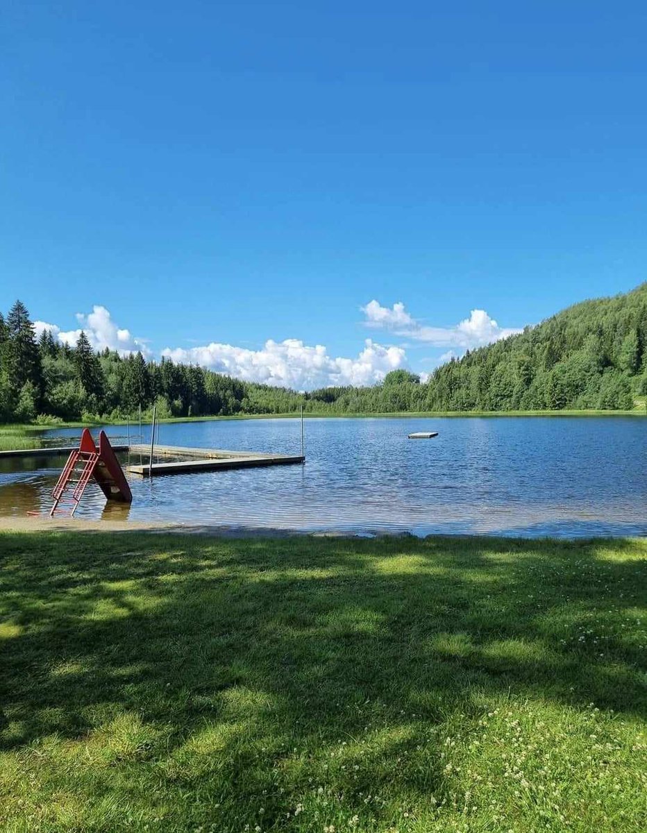 A beautiful day 🥰🌺🌞

#sunnyday #beach #sun #sky #nature #water #clouds #trees #ClimateCrisis