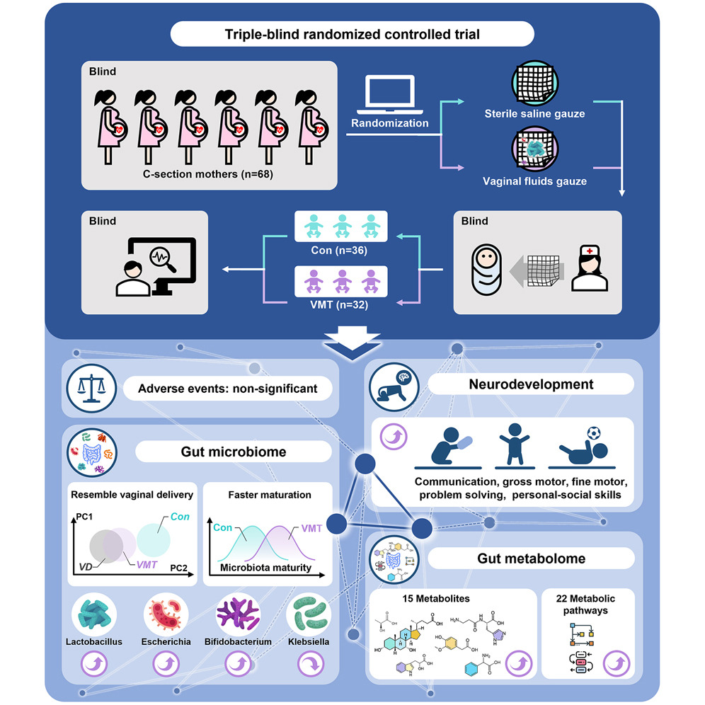 cellhostmicrobe's tweet photo. Vaginal microbiota transfer to cesarean-born infants. In a triple-blind randomized controlled trial, new work shows that VMT is likely safe and may partially normalize neurodevelopment and the fecal #microbiome in #cesarean-born infants https://t.co/vCWVFjUnj4 https://t.co/wzb6tt1fHE
