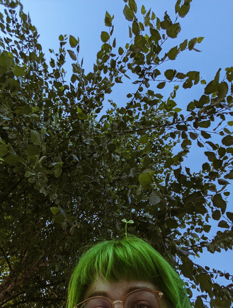 🌱leafie🌱 tweet media