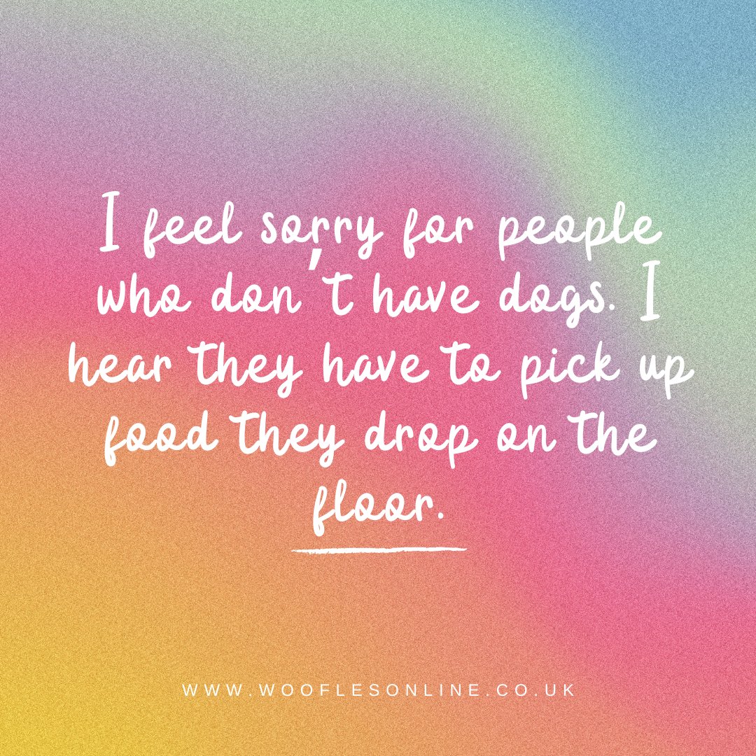 wooflesuk's tweet photo. You mean...I'd actually have to...clean?

How do people do it?! 

https://t.co/hvW9CbQa3D

#wooflesuk #dogfashion #dapperdog #ilovemydog https://t.co/uN841BvdxQ