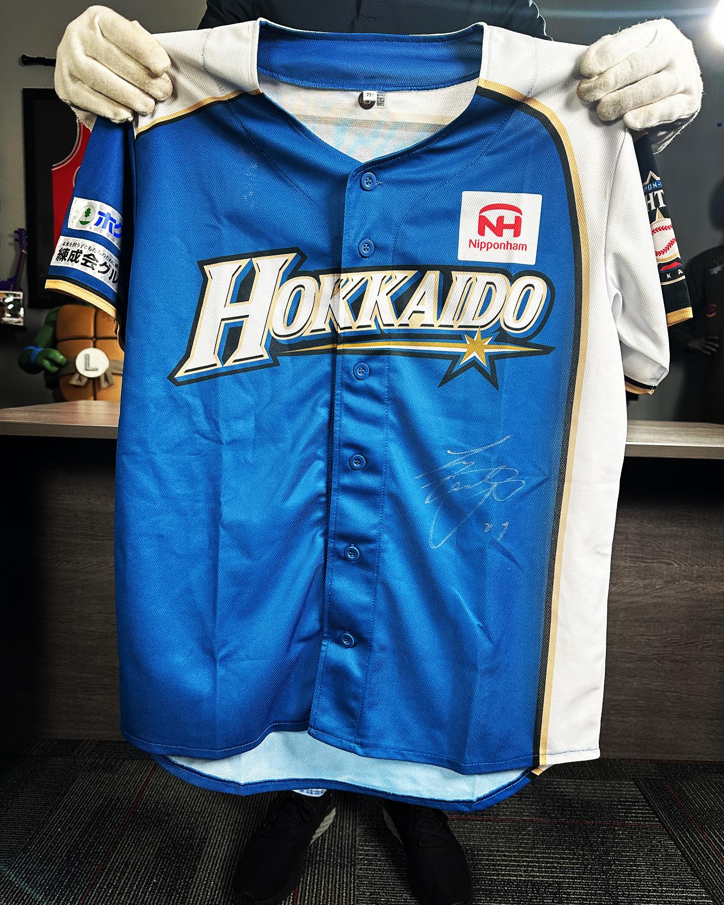 Pristine Auction on X: Before Shohei Ohtani became a star, he played for  the Hokkaido Nippon-Ham Fighters 📷 Now is your chance to bid on this  unique Hokkaido Nippon-Ham Fighters Jersey hand