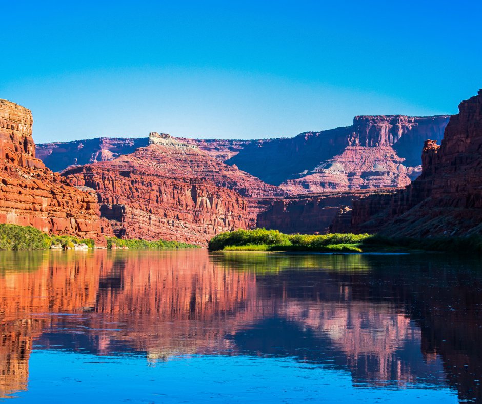 SUUtbirds's tweet photo. Southern Utah never ceases to amaze 😍
📍Colorado River, near Moab
#TBirdNation #OutsideTBird https://t.co/USQh1wiEek