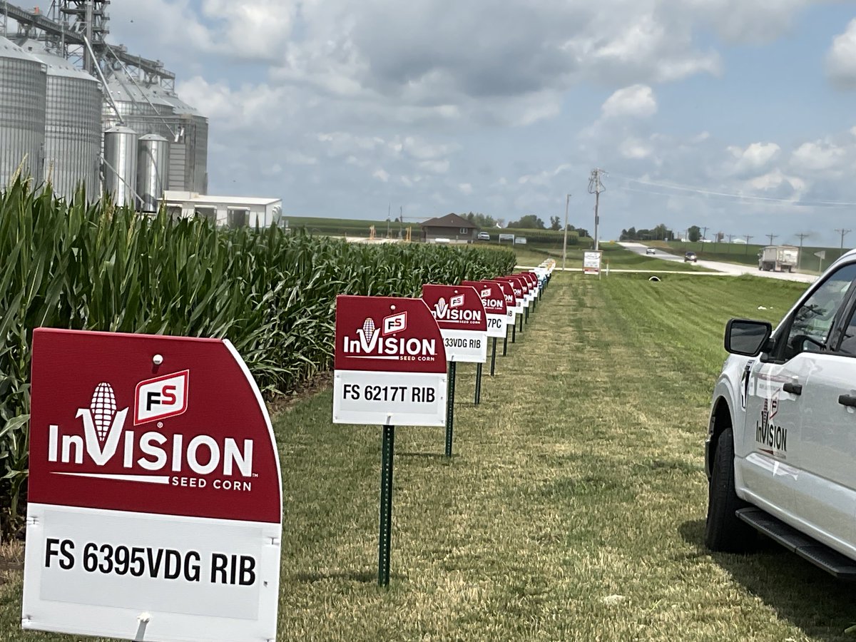 Nice looking plot, even though it has been very dry here. Amazing what great genetics and timely rain can do.