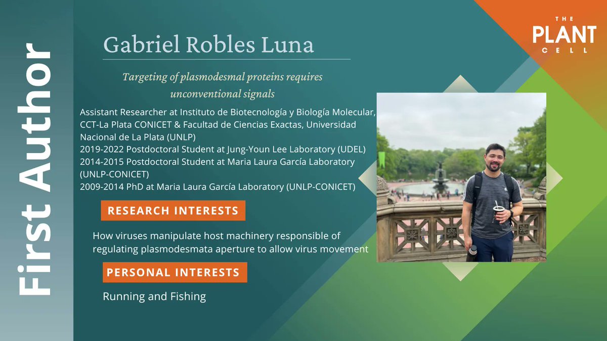 While studying viral proteins during PhD work, Gabriel Robles Luna identified a novel viral movement protein and developed an interest in plasmodesmata. #WeAreASPB buff.ly/3ri9KvP