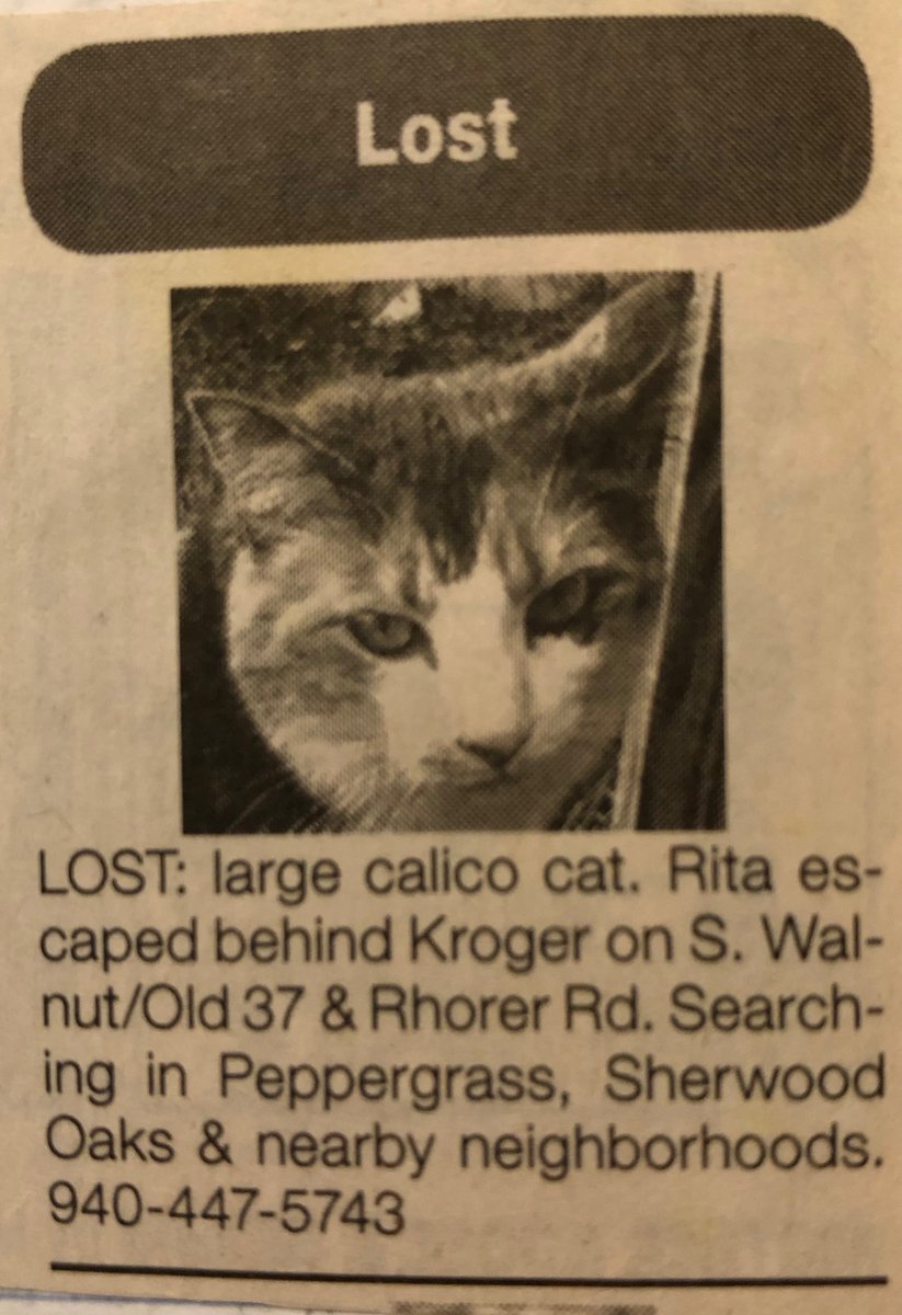 The epic 4-part saga of this lost cat starts next week on Inner States, from @wfiu. #Rita #lostcat #schrodinger #unnecessarilylongstories