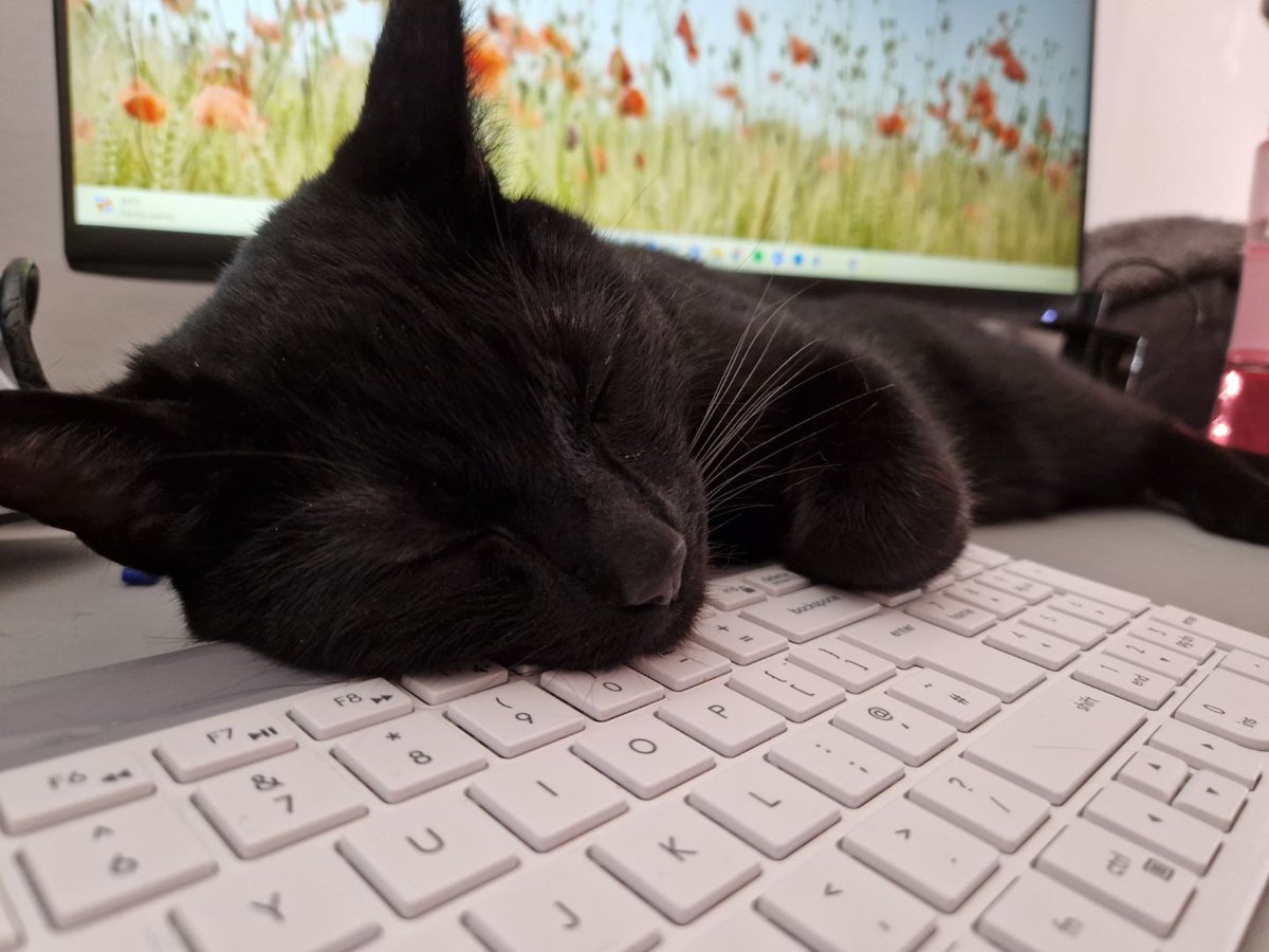 Jaime ✨ tweet media