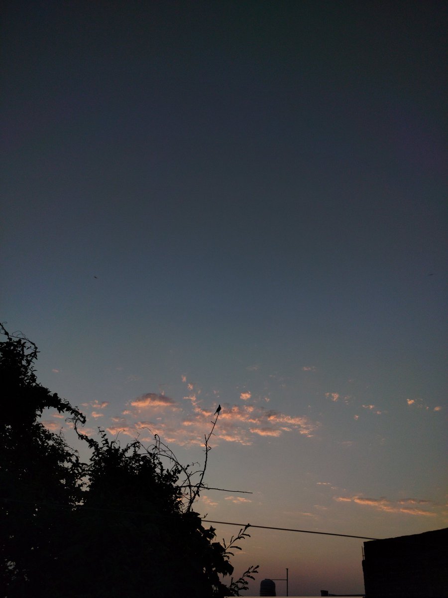 CharuRajput03's tweet photo. "ज़िंदगी भी किताब सी होती है, सब कुछ कह देती है खामोश रह के भी II"
✨💫 https://t.co/gKw2VUCe3L