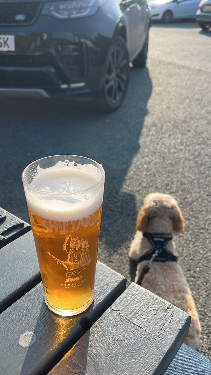 Matt Robinson tweet media