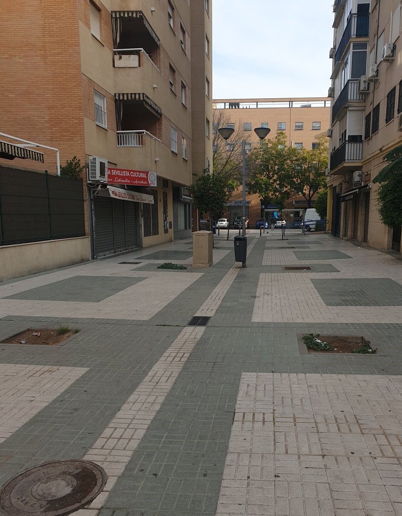 SOSterritorios's tweet photo. A la #Vergüenza de C/#Japón, hay que sumar la de su perpendicular, C/#Calcuta.
Lo denunciamos en marzo de 2022 y sigue igual.
En 65 metros de calle, 10 #Alcorques vacíos, sin #Árboles‼️
#SevillaEste, con tanto #Hormigón, #Asfalto y #Coches, necesita urgentemente ser #Reforestado. https://t.co/ISgCjGP2JV