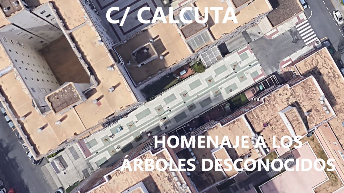 SOSterritorios's tweet photo. A la #Vergüenza de C/#Japón, hay que sumar la de su perpendicular, C/#Calcuta.
Lo denunciamos en marzo de 2022 y sigue igual.
En 65 metros de calle, 10 #Alcorques vacíos, sin #Árboles‼️
#SevillaEste, con tanto #Hormigón, #Asfalto y #Coches, necesita urgentemente ser #Reforestado. https://t.co/ISgCjGP2JV