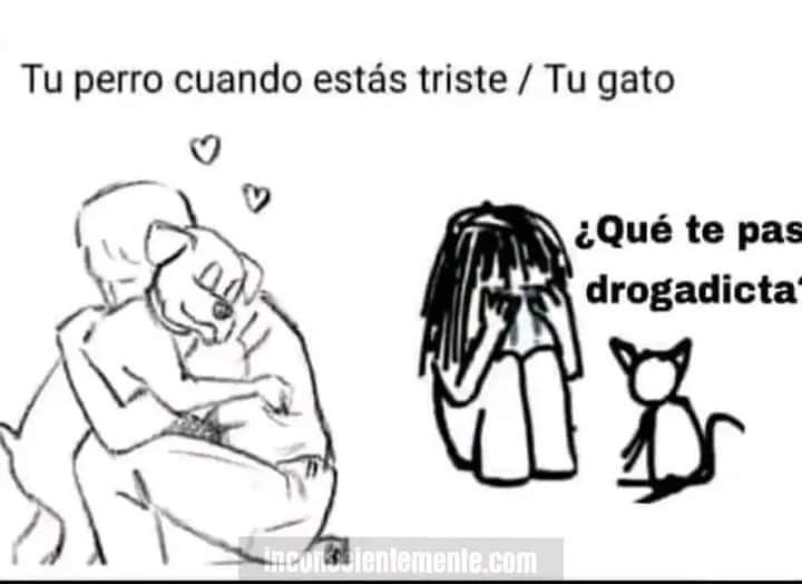 Fernandawheel01's tweet photo. @conycamelo Jajajajaa https://t.co/eFMDGQ1qCw