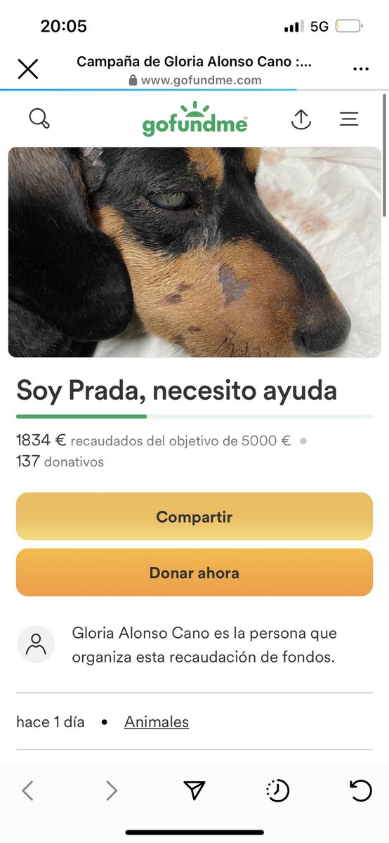 ⚠️DIFUSIÓN⚠️ 

ES UN CASO DE ABUSO ANIMAL HAN OBLIGADO A UNA PERRITA DE UN MES A BEBER UN LÍQUIDO ALCALINO Y ESTÁ LUCHANDO POR SU VIDA, DIFUNDIENDO O DONANDO HACÉIS UN POQUITO POR FAVOR 

gofundme.com/f/soy-prada-ne…