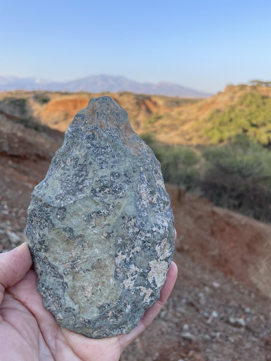 Michael Petraglia tweet media