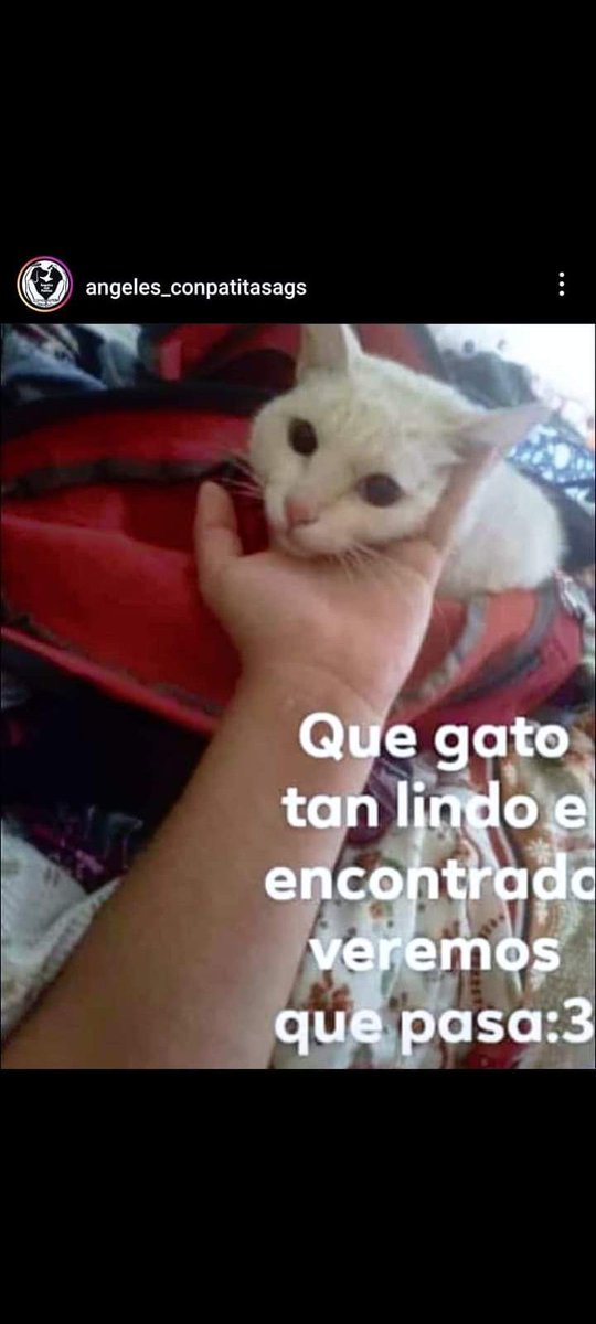 Fernand85711257's tweet photo. Difundan porfavor para que se haga justicia https://t.co/n8A6OvDULG