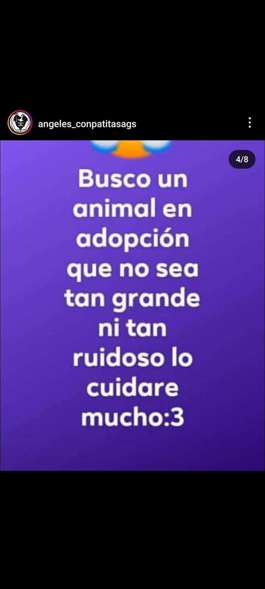 Fernand85711257's tweet photo. Gente tengan mucho cuidado se está repitiendo la historia el caso de vannesa n evil, Esta niña anda haciendo lo mismo que vanessa busca gatos para matarlos solo por diversión, tengan cuidado difundan para que se haga justicia #justucia https://t.co/8NzOO61Z1e