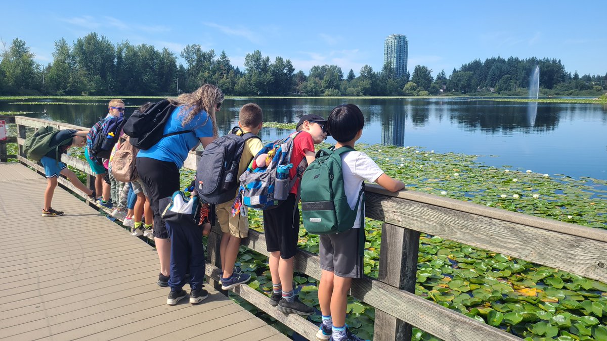 It's a beautiful day of Summer Explorers at Godson! 6 classes took their learning to Mill Lake!
#landbasedlearning #placebased #inquiry @CarlaDanielsson