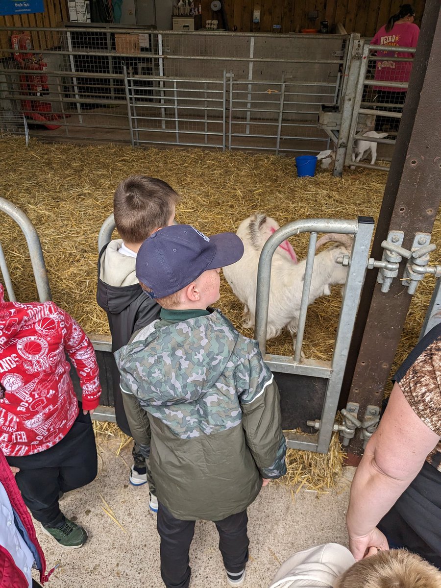 Phoenix_BSA's tweet photo. We had the best time @AmertonFarm today! The children loved seeing all of the animals they've been learning about and asking a million questions of the staff 🤣 
#bekind #shiningbright 
@BrackensdaleS https://t.co/z9Co9OavhZ