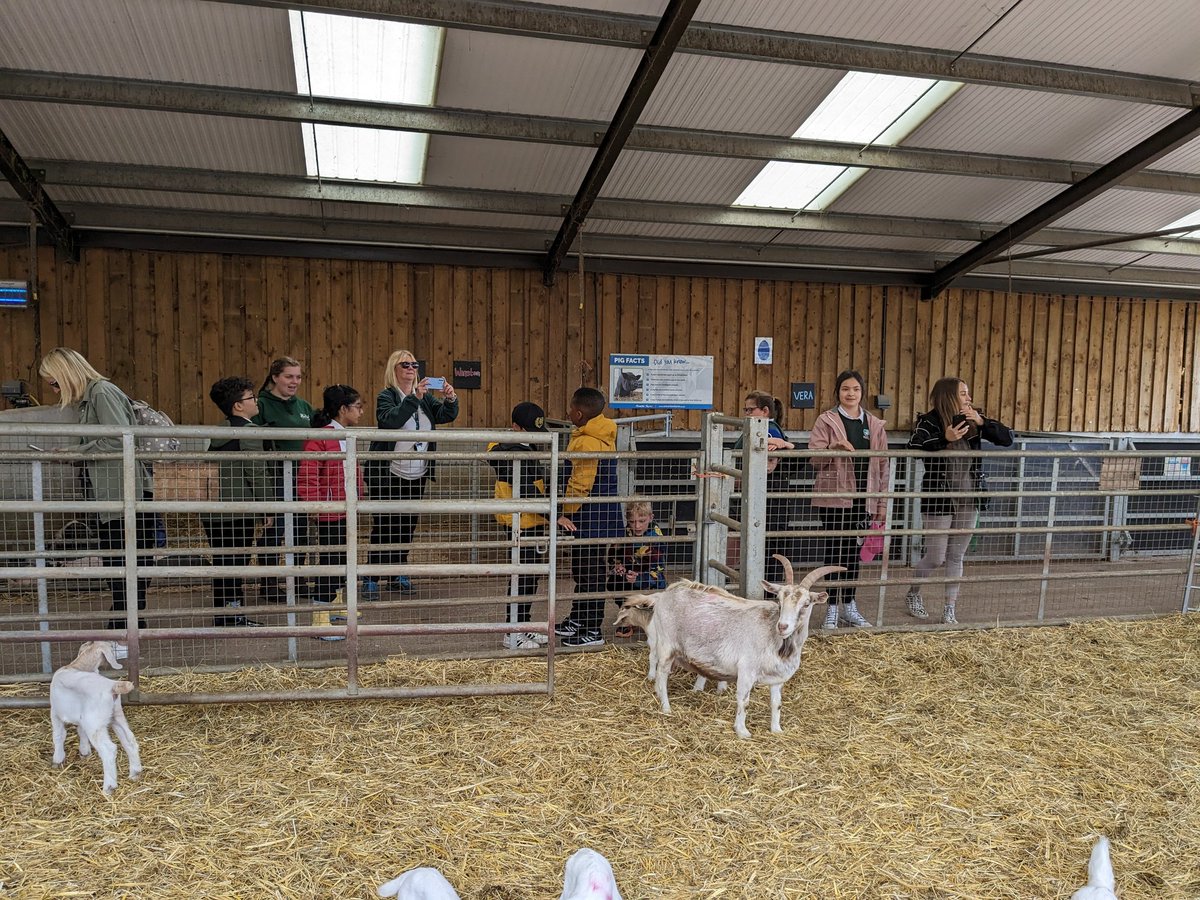 Phoenix_BSA's tweet photo. We had the best time @AmertonFarm today! The children loved seeing all of the animals they've been learning about and asking a million questions of the staff 🤣 
#bekind #shiningbright 
@BrackensdaleS https://t.co/z9Co9OavhZ
