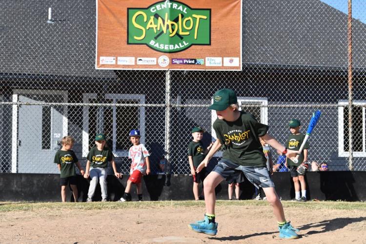 LC Baseball Club tweet media