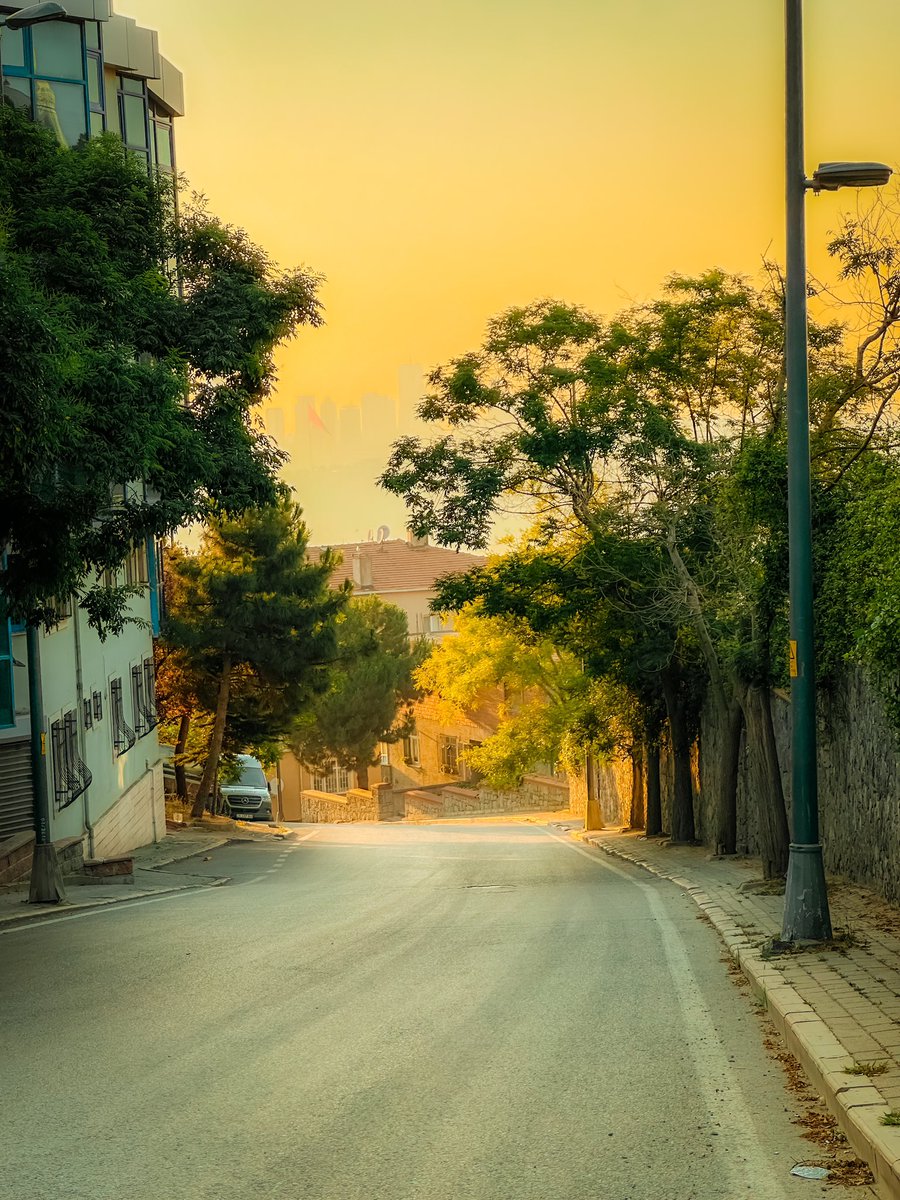 umitkayabalci's tweet photo. Bugün eve giderken güzargahta küçük bir değişiklik yaptım.. :)

13 Temmuz 2023
Çamlıca/İstanbul. https://t.co/tImna7Rgvs
