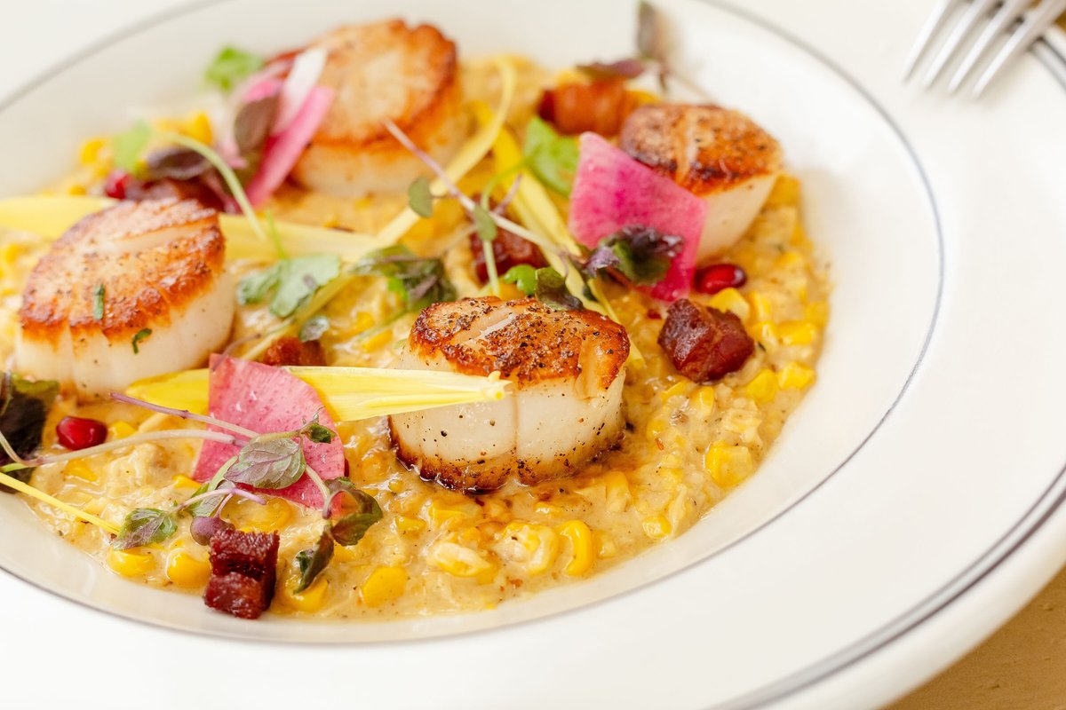 Seared Sea Scallops | Creamed Corn • Pancetta • Tomato • Pea Shoots