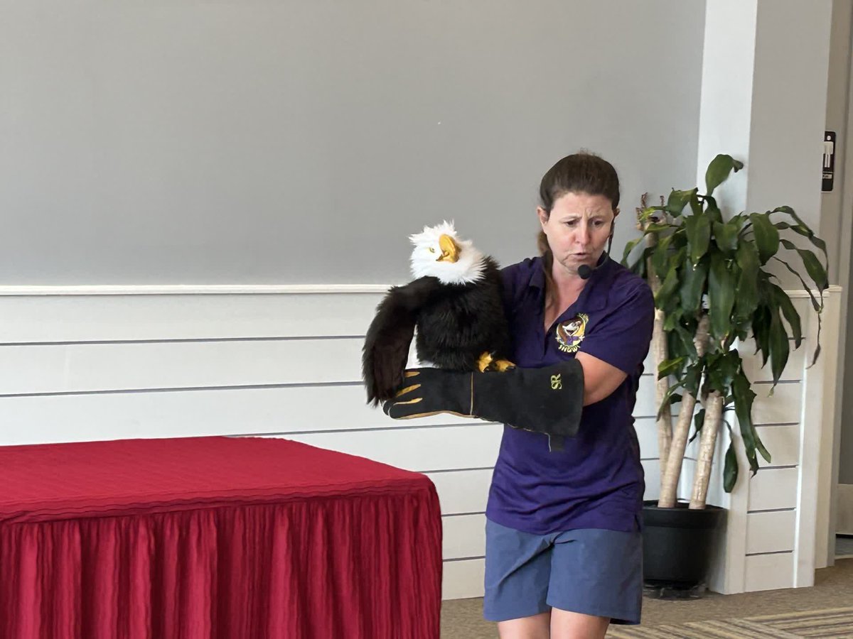 Villa Montessori Stone Ridge tweet media