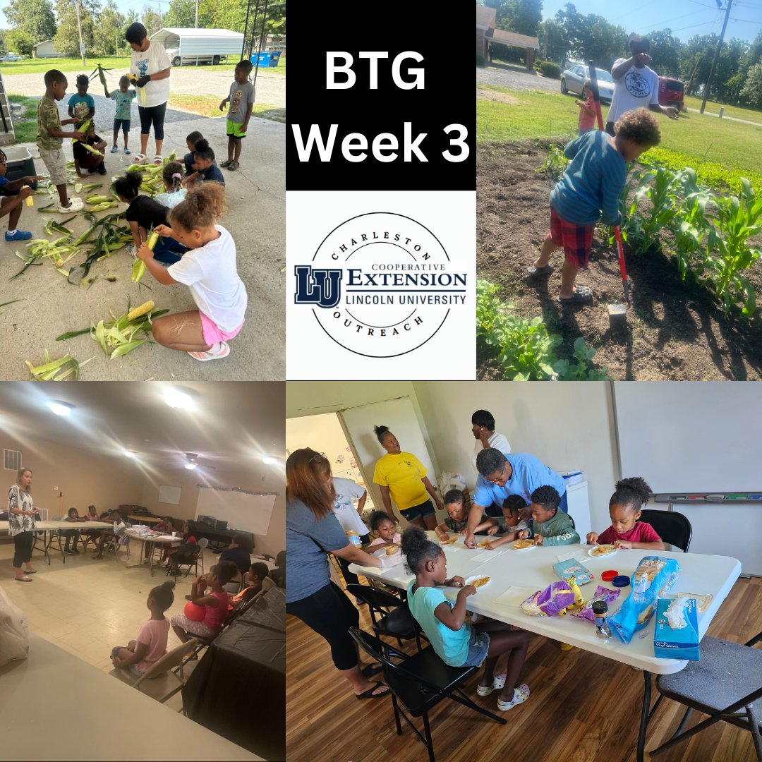 CharlestonLUCE's tweet photo. Bridging The Gap Summer Institute 2023 Update ☀💙🤍
Many sites finished week 3 of the program. Attendance is increasing and the students are learning and enjoying many enriching activities!  Pt. 1
#education  #Missouri  #lucecharleston #summer  #agriculture  #garden  #HBCUs https://t.co/DbQ8JXGkkT