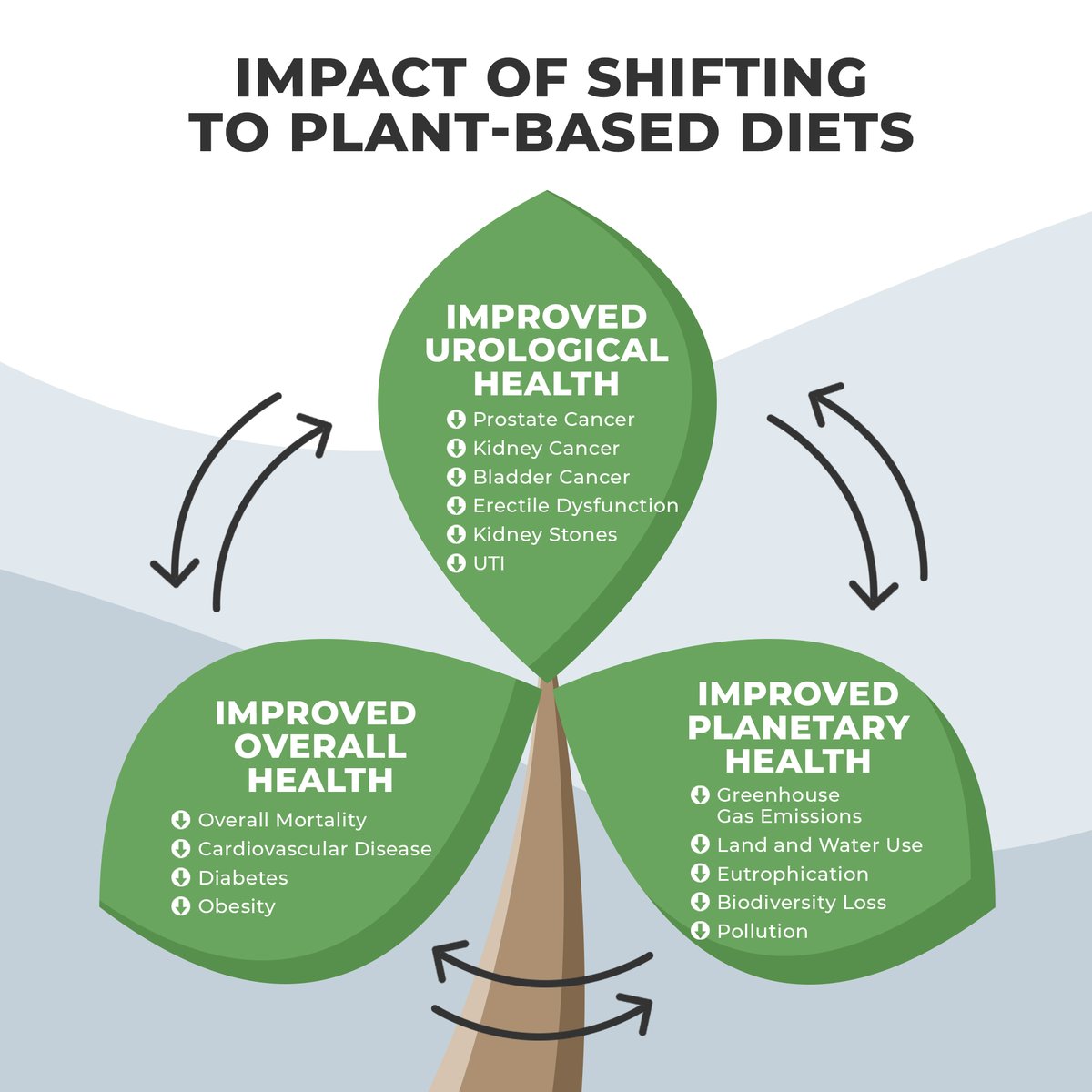 Thanks to @EUplatinum @JimCatto @Albert0Briganti for publishing this perspective. Our food choices directly impact our well-being and the environment. Let's build momentum in urology to promote a greener future and better health outcomes! 🌱🌍 #PlanetaryHealth