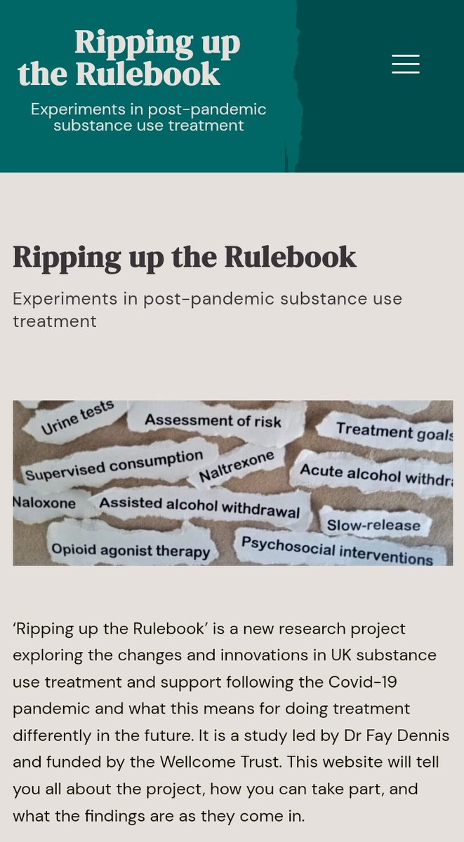 Can't thank @annaddition, <a href="/CollinghamLee/">Left eye Lee</a>, <a href="/JulietFlamRoss/">Juliet Flam-Ross (she/her)</a> &amp; Sharon enough for helping to spread the word on new study at today's <a href="/DDNMagazine/">DDN Magazine</a> conference. If you receive/deliver substance use services, pls take part. 🙏 rippinguptherulebook.org