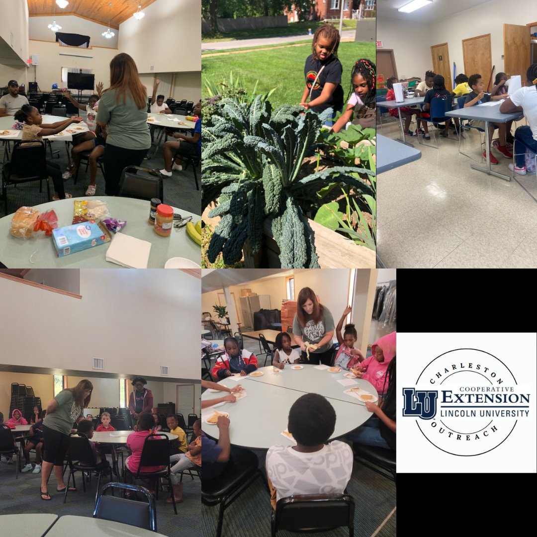 CharlestonLUCE's tweet photo. Bridging The Gap Summer Institute 2023 Update ☀💙🤍
Many sites finished week 3 of the program. Attendance is increasing and the students are learning and enjoying many enriching activities! Pt 2
#education #Missouri   #lucecharleston #summer  #agriculture   #garden  #HBCUs https://t.co/SFocGGorCN