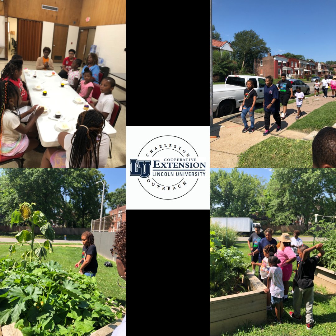 CharlestonLUCE's tweet photo. Bridging The Gap Summer Institute 2023 Update ☀💙🤍
Many sites finished week 3 of the program. Attendance is increasing and the students are learning and enjoying many enriching activities! Pt 2
#education #Missouri   #lucecharleston #summer  #agriculture   #garden  #HBCUs https://t.co/SFocGGorCN