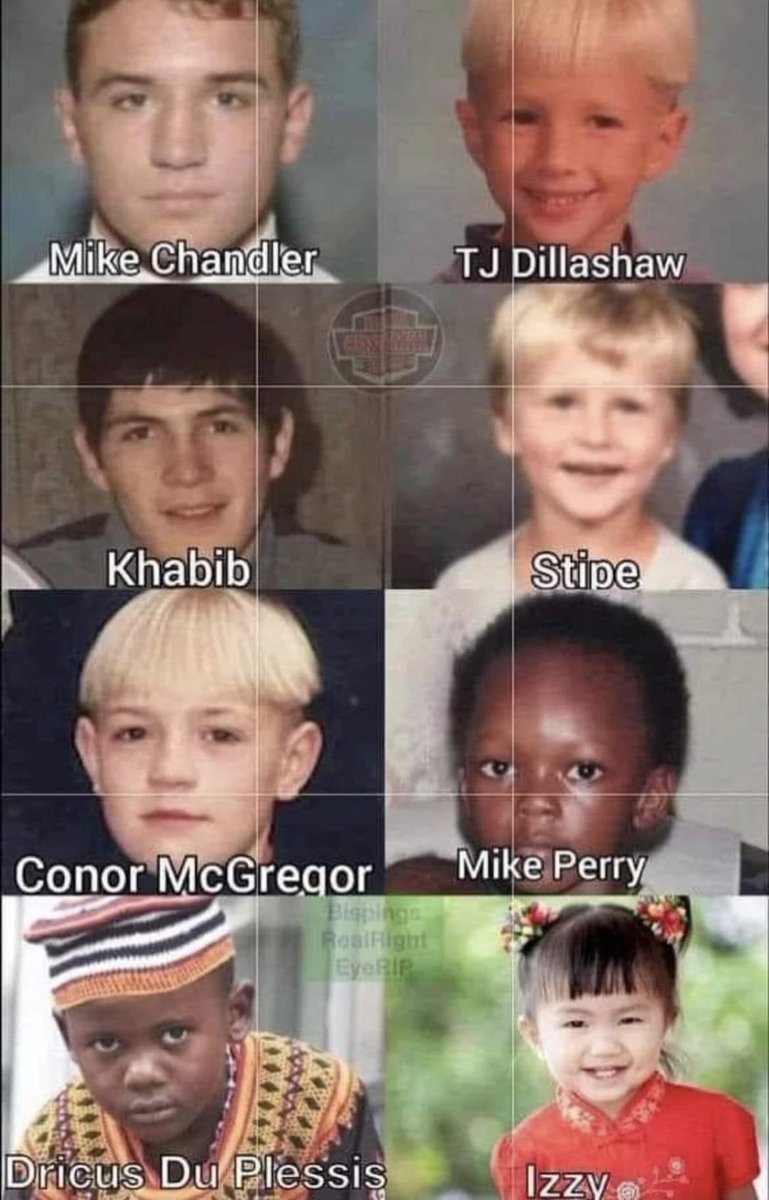 Home of Fight tweet media