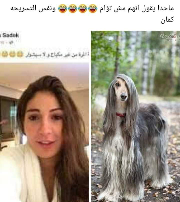 هربت من لبنان 😅
الهريبة من شيمك 🤣