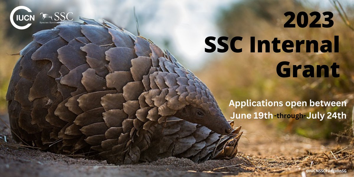 📢 Attention SSC Network! You still have time to apply for the SSC Internal Grant and receive funding for projects contributing to the Species Conservation Cycle. Open until July 24. Find more info here: ow.ly/PAxX50PaCy5
#conservation #grantopportunity