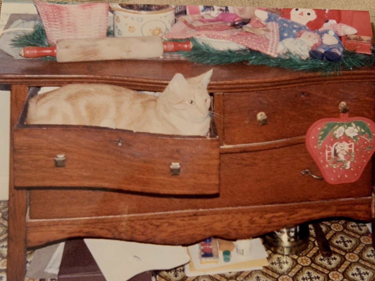 SimbasPrideFL's tweet image. #ThrowbackThursday Simba