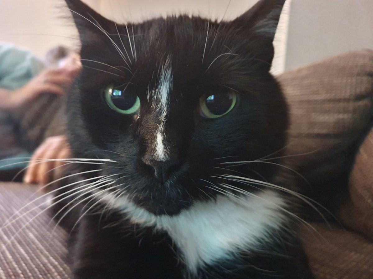 DeichselKevin's tweet photo. @xPandorya Möge er dir Trost spenden wie mir immer :3 ❤️ https://t.co/ORqlMG5Ydo