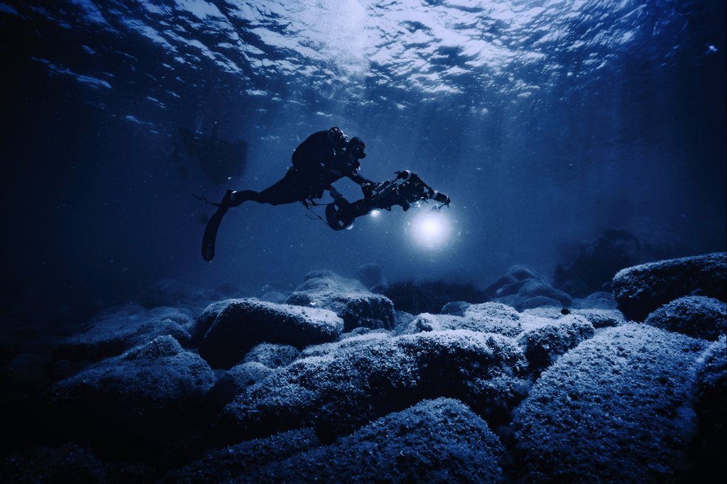 3Ddaniel86's tweet photo. Thanks to @PureOceanFund we are acquiring high quality underwater photos to finely map sensitive marine benthic habitats using Structure from Motion photogrammetry. Check the progress of 3DR-SeaC project here: https://t.co/NVeMfTRGti

@Seacraft_MS @SonyAlpha 

#3dmodeling #scuba https://t.co/TXRq9OPNAX