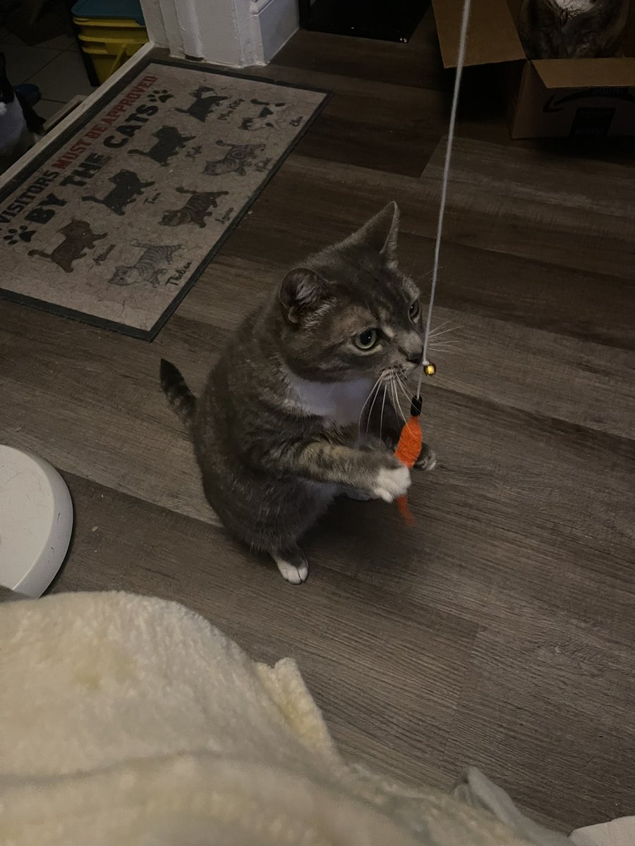 SimbasPrideFL's tweet image. Thelma ✨