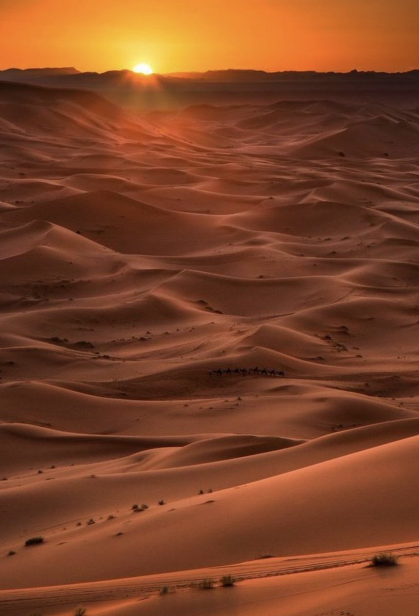 elimper1o's tweet photo. 13. Desierto del Sahara, África https://t.co/Zr9wAFEER2