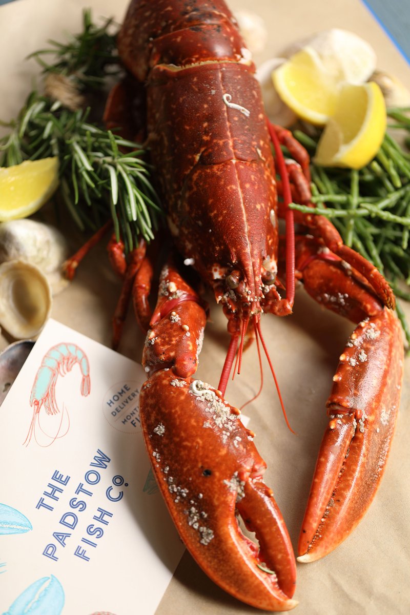🎣 Get hooked on the freshest catches from Padstow Fish

Open every Friday: 9am-2pm

Indulge in an extraordinary seafood experience with their finest selection

#PadstowFish #CheltenhamFish #CheltenhamSeafood #Cheltenhamstyle Cheltenhamlife