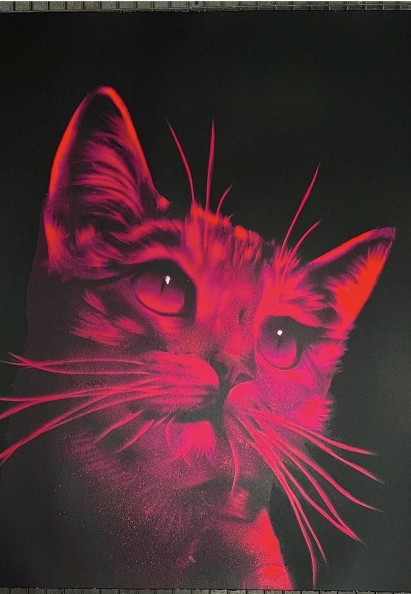 q_clubb's tweet photo. Meet neon artist @davidspeeduk to collect my signed print of his Icon CAT, wearing @_KidEight keeping it elegant, accompanied by my personal stylist ISSA. Hey @karsendaily #kideight merch is top notch https://t.co/uZZ5lkmnWB