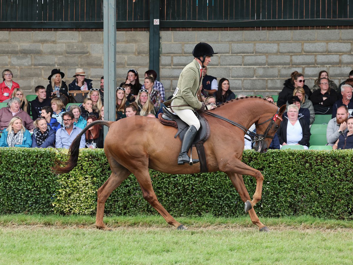 Andy Robertson tweet media