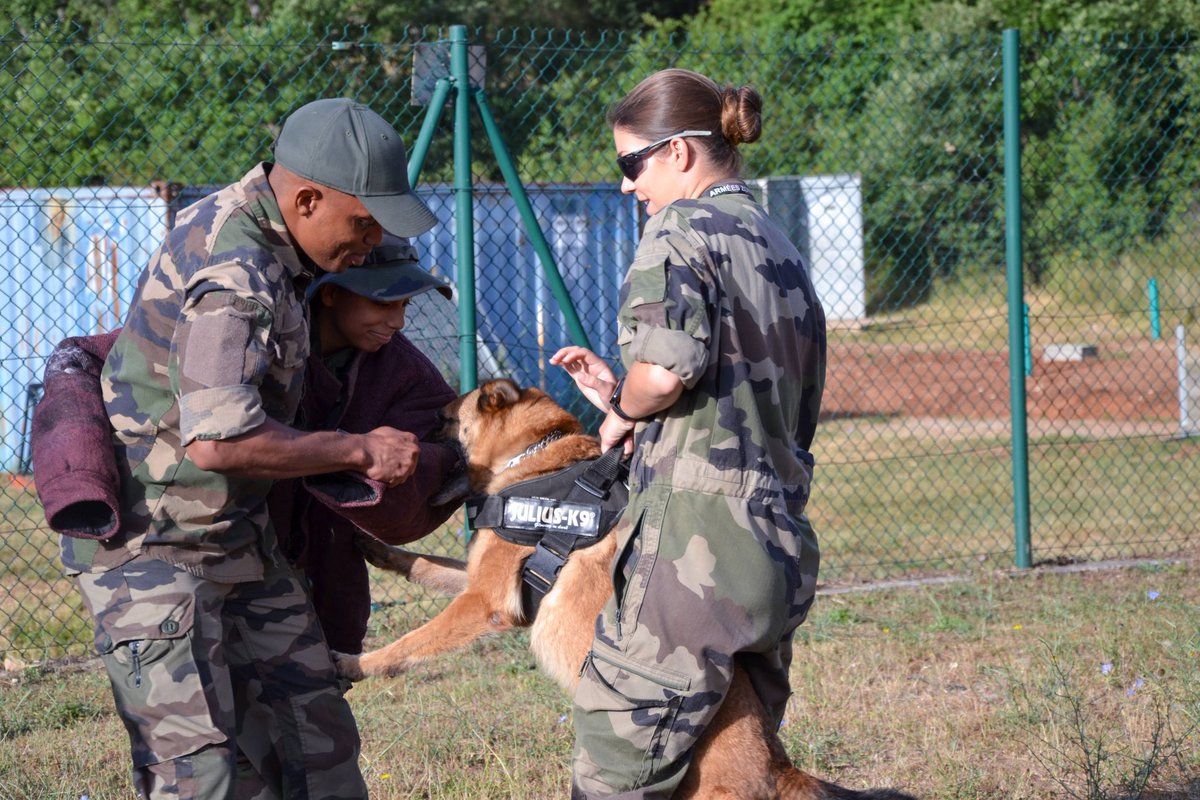 1RCA_canjuers's tweet image. 26 jeunes entre 16 et 24 ans découvrent le monde militaire et les missions du #1erRCA. Une semaine pour tester les bases du métier de soldat : ordre serré, terrain et découverte des nombreux métiers de l'@armeedeterre. Vous aussi, faites une #PMT @RecrutemenTerre vous attend !
