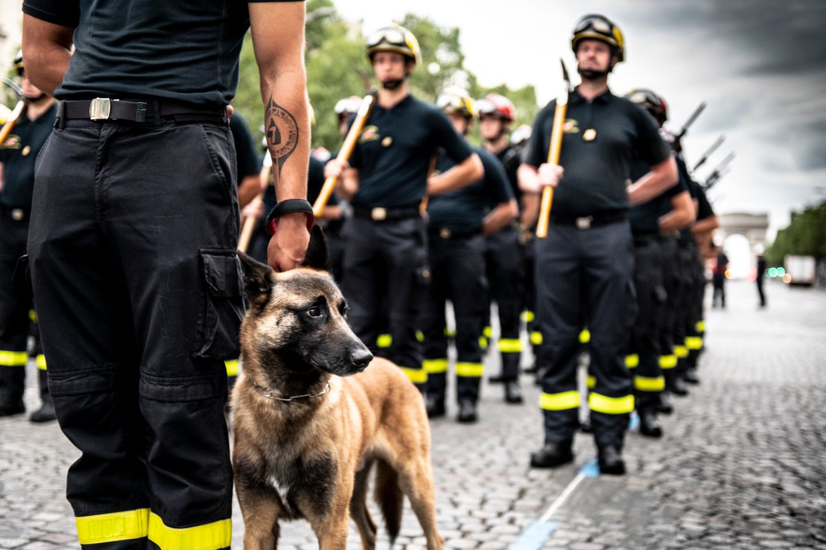 SecCivileFrance's tweet photo. 🇫🇷 Venez à la rencontre des sapeurs-sauveteurs à l'occasion du #14Juillet aux #Invalides, de 10h à 18h.
🐶 Démonstration de l'équipe cynotechnique
🚒 Visite du #MAGeC, le Module d’appui à la gestion de crise
🙋 Rencontre avec l'équipe recrutement de l'@uiisc1 https://t.co/CljqmzUvAy
