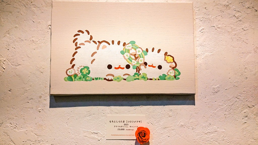 ポメラニアンもち個展
