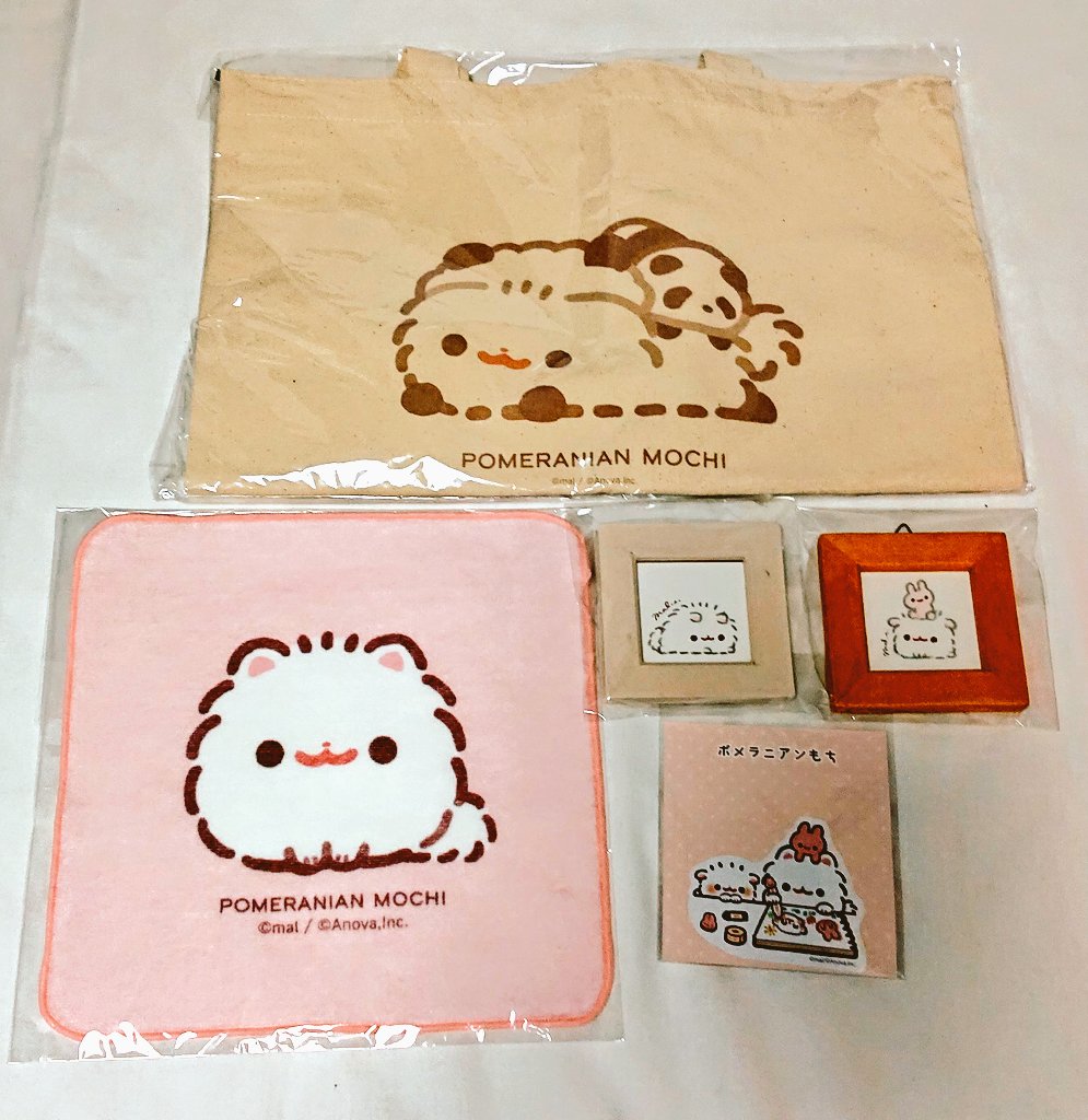 ポメラニアンもち個展